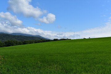 北海道の草原地帯