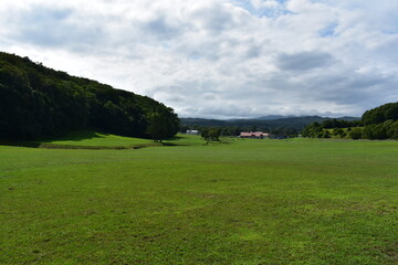 Fototapeta premium 北海道の草原地帯