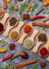 A set of spices on a gray background. Variety of spices from India. Food decoration design. Various spices, peppers and herbs close-up top view. Set of peppers, salt, herbs and spices for cooking.