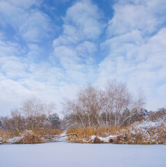 winter snowbound forest glade under a blue cloudy sky, winter outdoor landscape