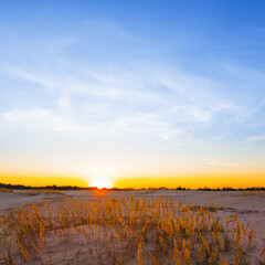 wide sandy prairie at the sunset, evening summer sunset landscape