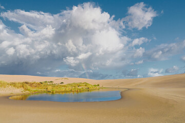 Dune fragment, Łeba, Poland, Słowinski National Park nature reserve, created on January 1, 1967...