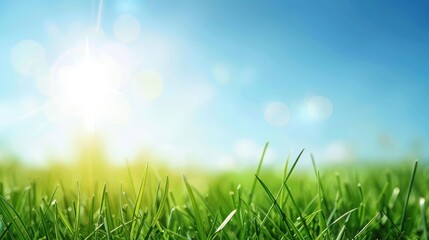 Obraz premium Sunny Day and Lush Green Grass