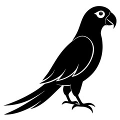 Cute Parrot bird Silhouette vector illustration