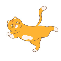 Orange Cat Yoga