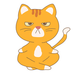 Orange Cat Yoga