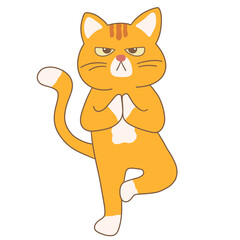 Orange Cat Yoga