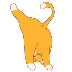 Orange Cat Yoga