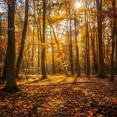 A peaceful forest scene in autumn, golden leaves covering the ground, sunlight streaming through the trees