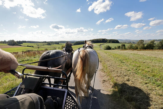coachman's perspective
