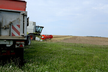 Moissonneuse batteuse en moisson dans un champ