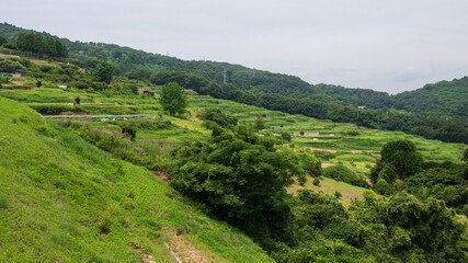 山の斜面に広がる棚田