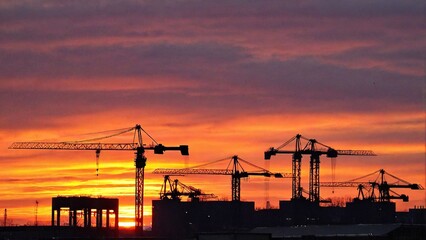 Obraz premium cranes and cranes in a sunset sky with the sun setting behind them.