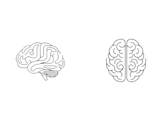 human brain model vector line art