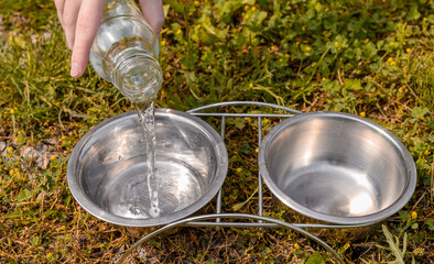 Metalowe miseczki z wodą dla zwierząt w ogrodzie, upalne dzi latem  © Paweł Kacperek