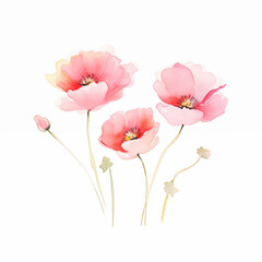 A soft watercolor illustration of pink poppy flowers, capturing their gentle beauty and serene elegance.