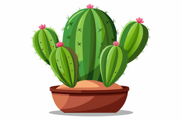 Blooming Cactus Plant in a Brown Pot