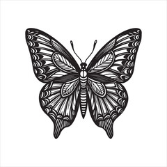 A black and white drawing of a butterfly with a black background