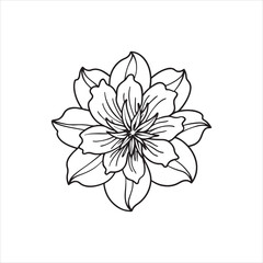 Flower coloring book design vector