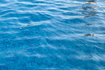 A blue pool shines on a summer day