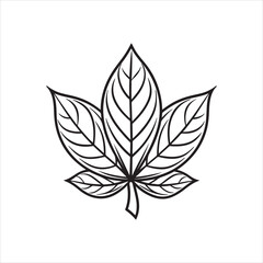 Flower coloring book design vector