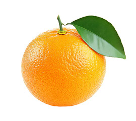 Orange fruit isolated on a white background.