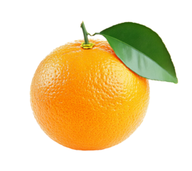Orange fruit isolated on a white background.