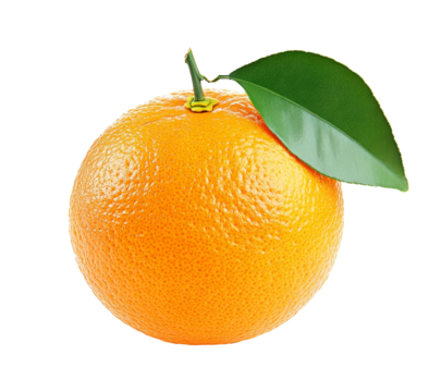 Orange fruit isolated on a white background.