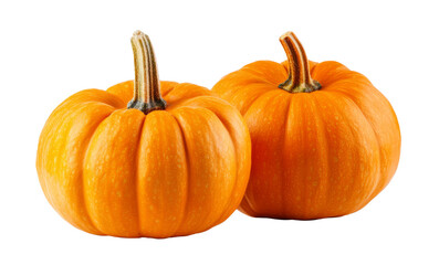 Fototapeta premium Two mini pumpkin isolated on white
