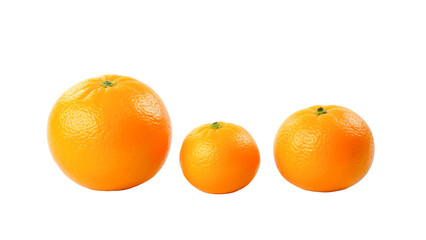 Close-up of three oranges arranged in a row showcasing different sizes emphasizing variety and freshness