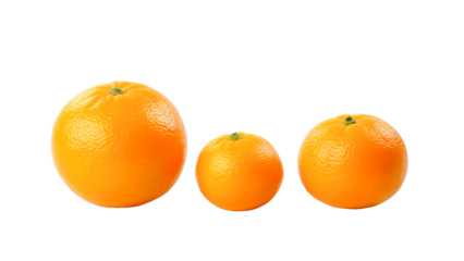 Close-up of three oranges arranged in a row showcasing different sizes emphasizing variety and freshness