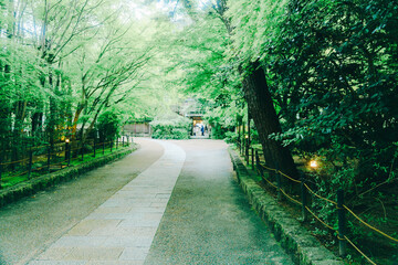京都の宇治上神社の風景