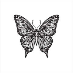 A black and white drawing of a butterfly with a black background