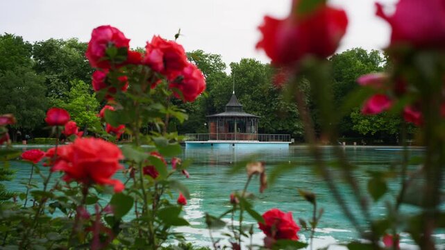 Relaxation in the park