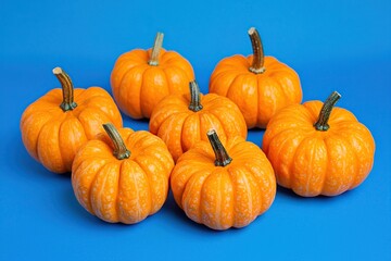 Obraz premium Thanksgiving pumpkins on a blue background. Generative Ai