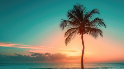 Fototapeta premium Palm tree silhouette against LightSeaGreen sunset