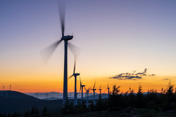 Obraz premium Wind turbines in the evening