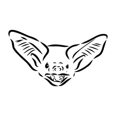 Bat engraving hand drawn illustration