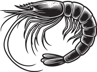 Shrimp Silhouette isolated on white background Minimalist crayfish vector shape