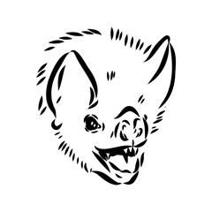 Bat engraving hand drawn illustration