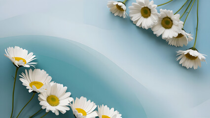Daisies on Soft Blue Background