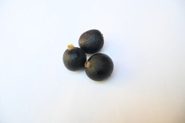 Alangium salvifolium or sage leaved alangium tree fruit. It is is a flowering plant in the Cornaceae family. wildfruit on white background. 