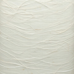 Obraz premium White textured paper with subtle organic fibers in a minimalist design 미니멀한 디자인의 은은한 유기적 섬유가 있는 흰색 질감 종이