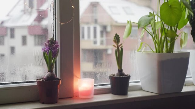 Cosy home decoration with plants, candles and garland lights
