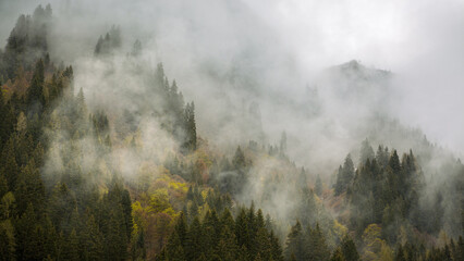 Mountains in the Fog