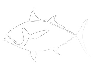 Continuous line art drawing style of a fresh salmon fish, One continuous line of fish.