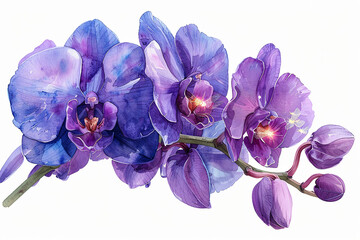 Enchanted watercolor clipart of a firefly orchid, each bloom a light in the dark, isolate on white background Nature's tiny lanterns, unique hyper-realistic illustrations --no grunge, splash, dust--ni