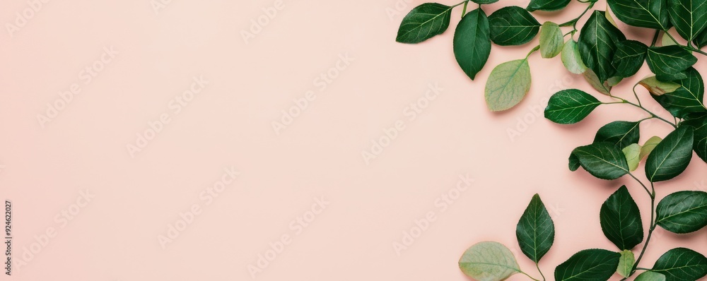 Poster tranquil monotone green leaves on soft blush background - minimalistic design with copy space for te