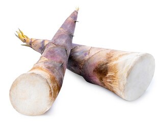 Fresh Bamboo shoot on white background, Bamboo sprout isolate on white with clipping path. 