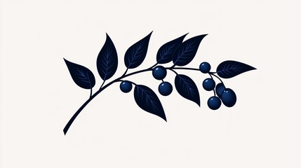 Fototapeta premium Stylized elderberry illustration, minimalist line art, hand-drawn with attention to detail, set against a white background